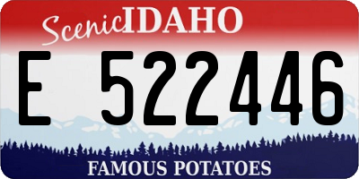 ID license plate E522446