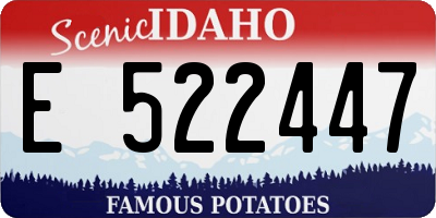 ID license plate E522447