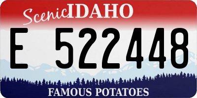 ID license plate E522448
