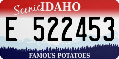ID license plate E522453