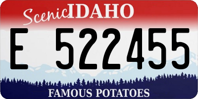 ID license plate E522455