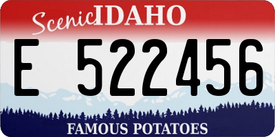 ID license plate E522456