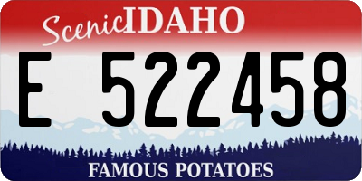ID license plate E522458