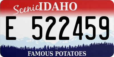 ID license plate E522459