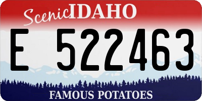 ID license plate E522463