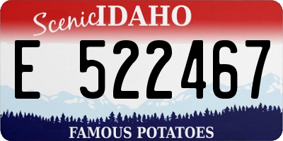 ID license plate E522467