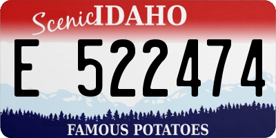 ID license plate E522474