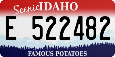 ID license plate E522482