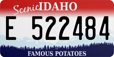 ID license plate E522484
