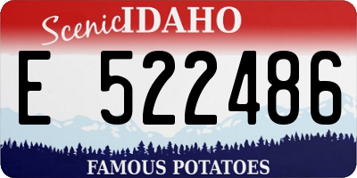 ID license plate E522486