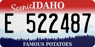 ID license plate E522487