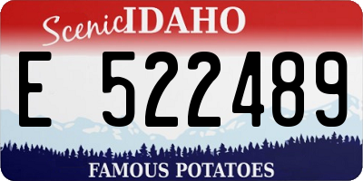 ID license plate E522489