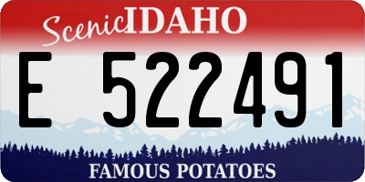 ID license plate E522491