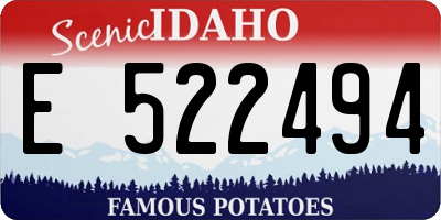ID license plate E522494