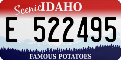 ID license plate E522495