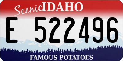 ID license plate E522496
