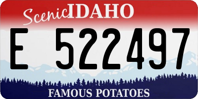 ID license plate E522497