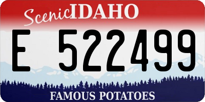 ID license plate E522499