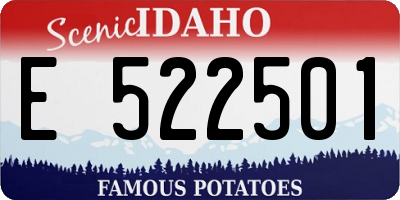 ID license plate E522501