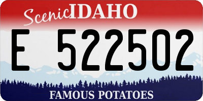 ID license plate E522502