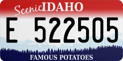 ID license plate E522505