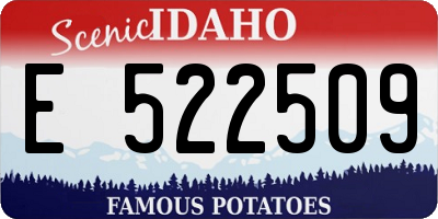 ID license plate E522509