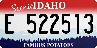 ID license plate E522513