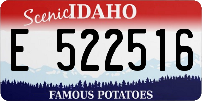 ID license plate E522516