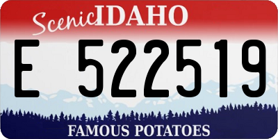 ID license plate E522519