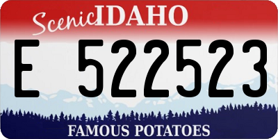 ID license plate E522523