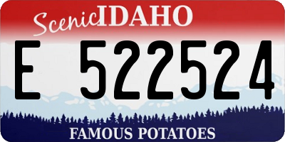 ID license plate E522524