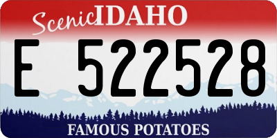 ID license plate E522528