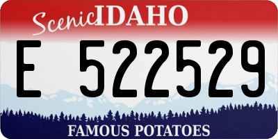 ID license plate E522529