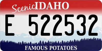 ID license plate E522532