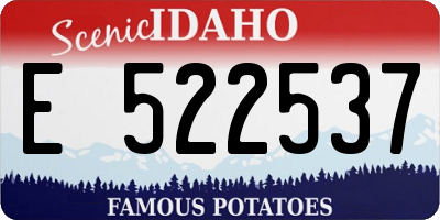 ID license plate E522537