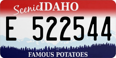 ID license plate E522544