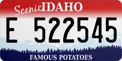 ID license plate E522545