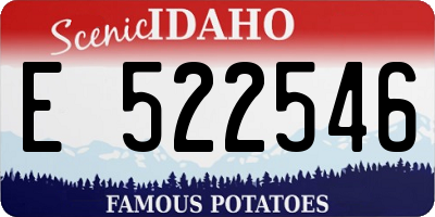 ID license plate E522546