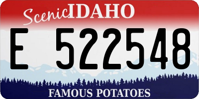 ID license plate E522548