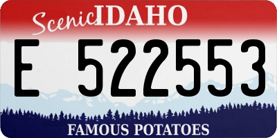 ID license plate E522553
