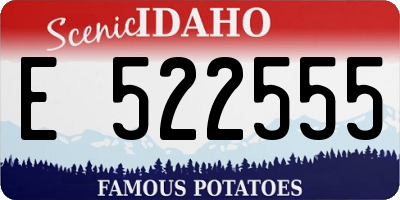 ID license plate E522555