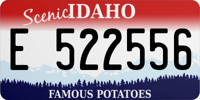ID license plate E522556