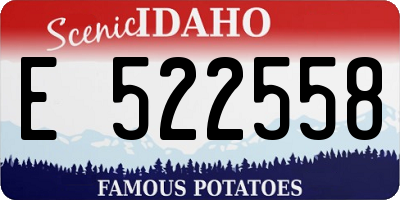 ID license plate E522558