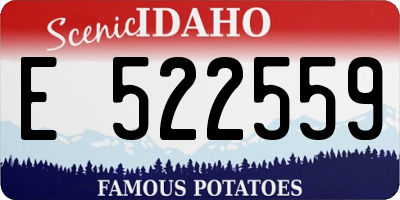 ID license plate E522559