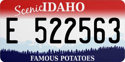 ID license plate E522563