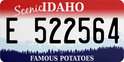 ID license plate E522564
