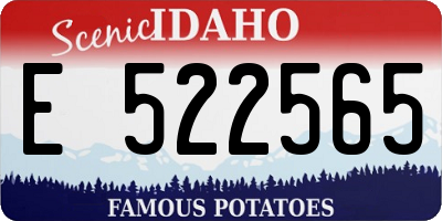 ID license plate E522565