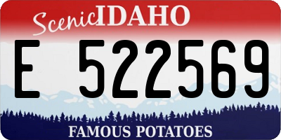 ID license plate E522569