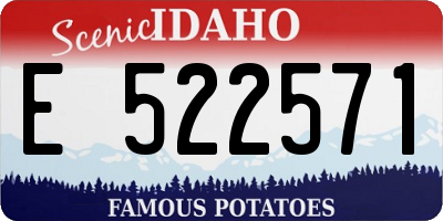 ID license plate E522571
