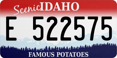 ID license plate E522575